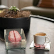 Novelty Tio Bitars 'Hjärna' Coaster Set i Unik Design Carvallo