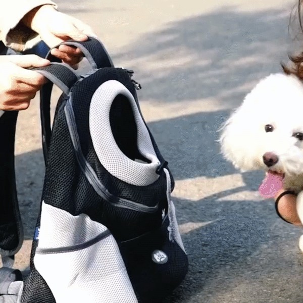 Carvallo – Tillsammans överallt på väg Carvallo