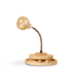 Carvallo – Aktiverar jaktinstinktet främjar hälsan! Carvallo