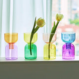 Tvådelat Mini Bud Vase Terrarium Set - Glas Modern Design Carvallo