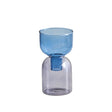 Tvådelat Mini Bud Vase Terrarium Set - Glas Modern Design Carvallo