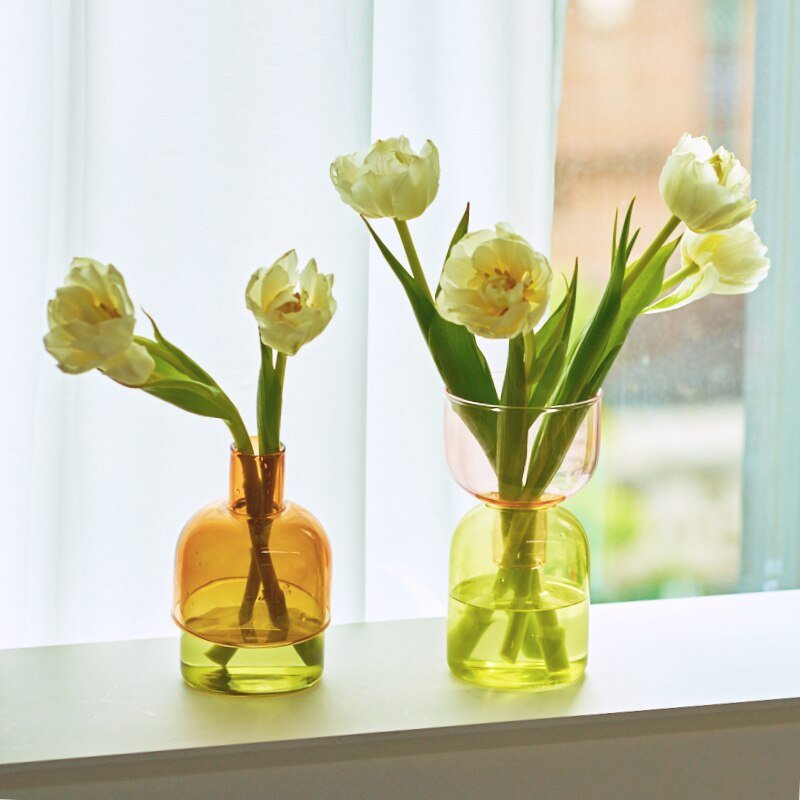 Tvådelat Mini Bud Vase Terrarium Set - Glas Modern Design Carvallo