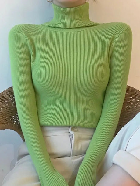 Kashmir Turtleneck Sweater för kvinnor Hemnix