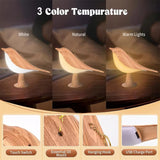 Fågel Laddningsbar Nattlampa Carvallo