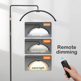 Halvmåne LED Golvlampa Carvallo