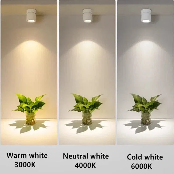 LED Taklampor Macaron Carvallo