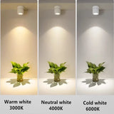 LED Taklampor Macaron Carvallo