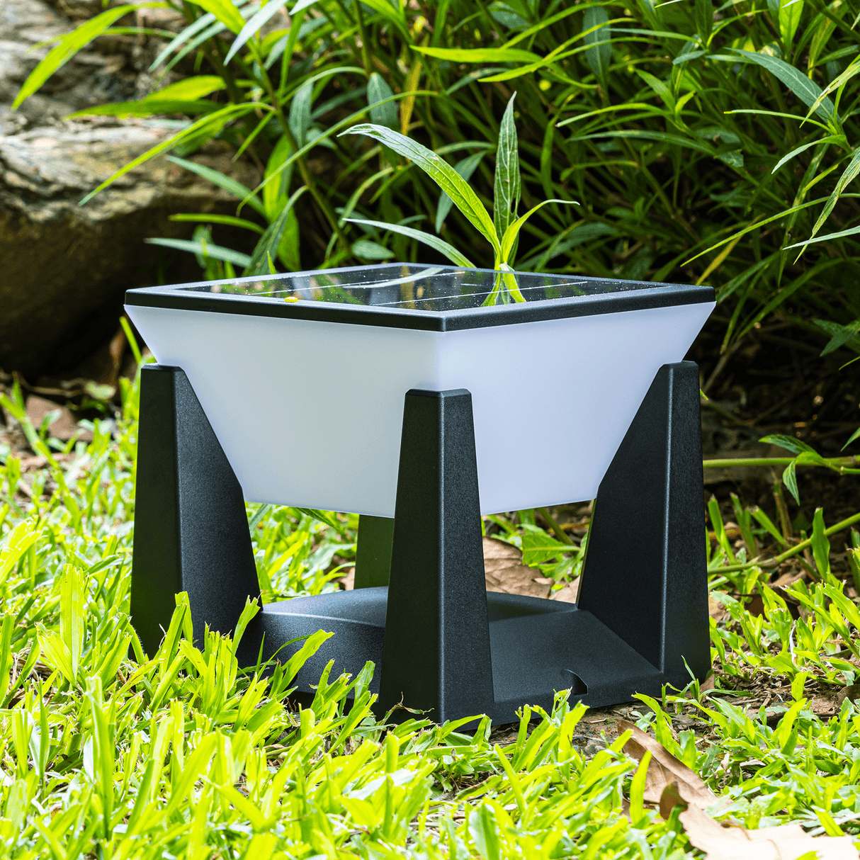 Utomhus Solcellsdriven Modern Trädgårdslampa Carvallo