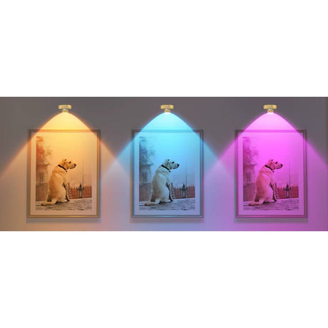 Återuppladdningsbara LED puckljus med magnetfäste – RGB-färgtemperatur - Justerbar ljusstyrka - Inomhus konstbelysning - Fjärrkontroll Carvallo