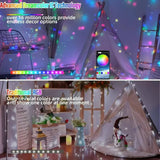 RGBIC Gardin Ljussträngar APP Bluetooth Kontroll Carvallo