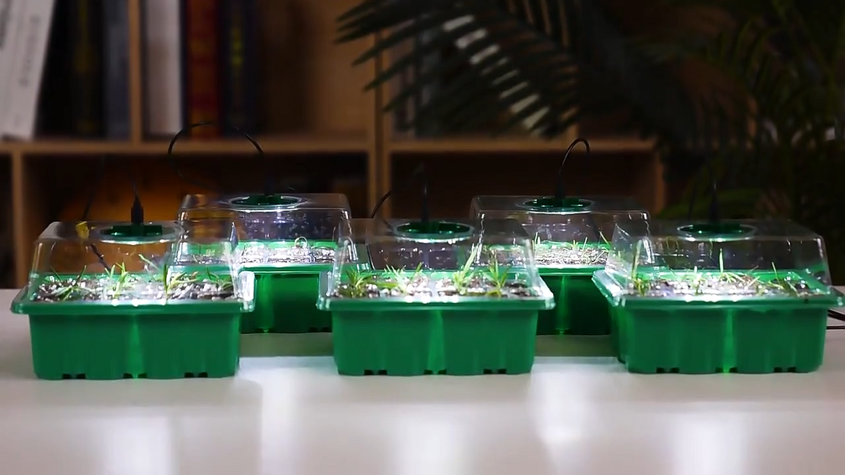 Inomhusväxthus med LED och luftcirkulation-VaruZ-Hemnix