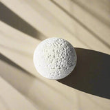 Kursig svart vulkanisk stenskål - Elegant porslinsmittenstuk Carvallo