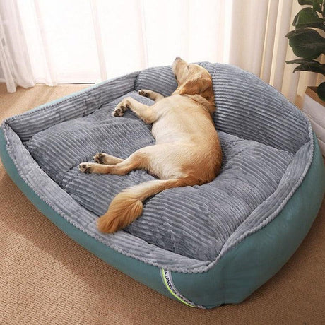 Pawelux All-Season Hypoallergenic Thick Dog Bed - Mjuk, Varm & Maskintvättbar Carvallo