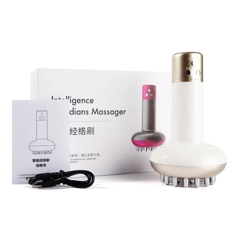 Mikroströmsterapi Massager: EMS, Värme, Guasha, Detox & Slimning Carvallo