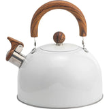 Rostfritt Stål visselpipa Kittel Carvallo