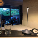 Trådlampa med modern LED-lampa Carvallo