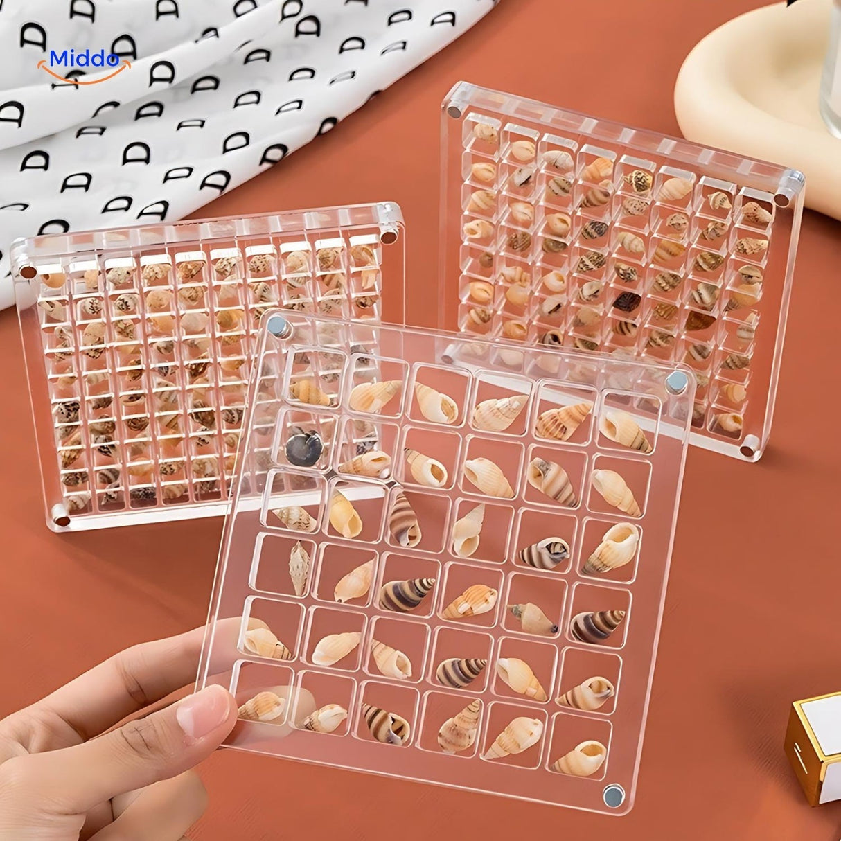 Displaycase: den ultimata displaylösningen för snäckor och annat MILA Sverige