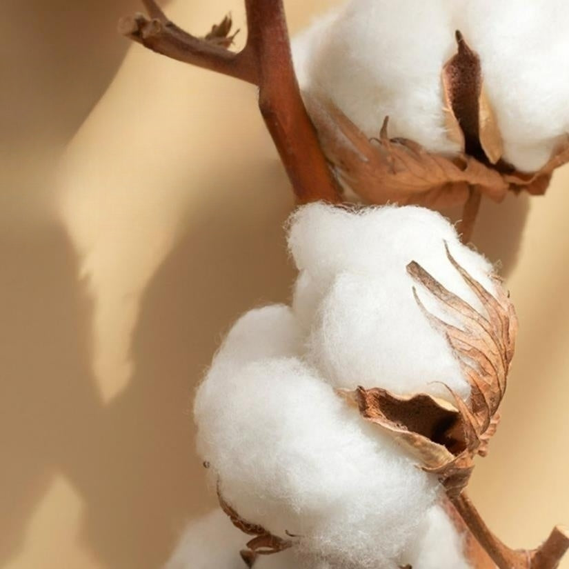 Bomullssatin broderad grå sängset Carvallo