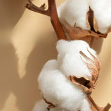 Deluxe Satinbomull Broderad Sängklädesats - 4-delad - LB7 Carvallo